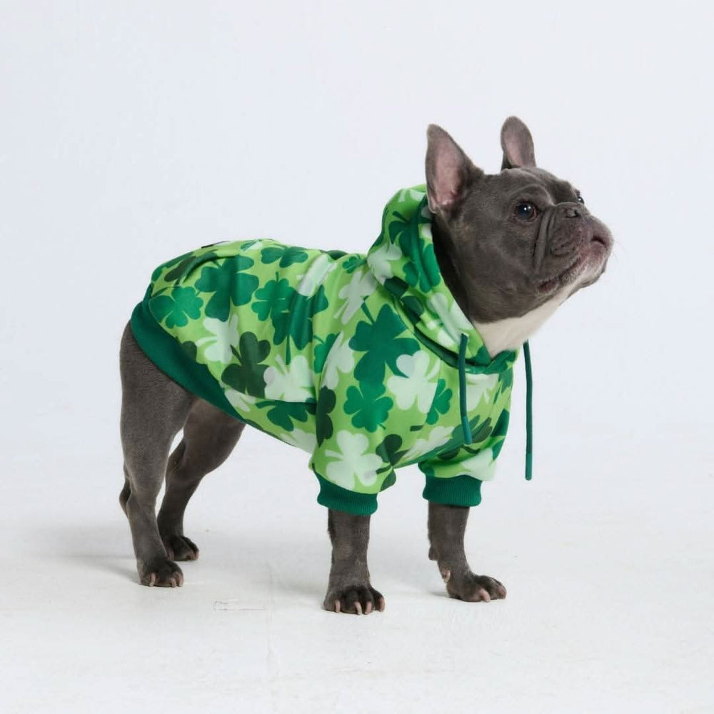 St. Paddy's Dog Hoodie - Shamrocks (Limited Edition) – SPARK PAWS