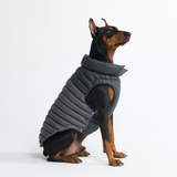 Black PuffShield Jacket||size:3XL,4XL