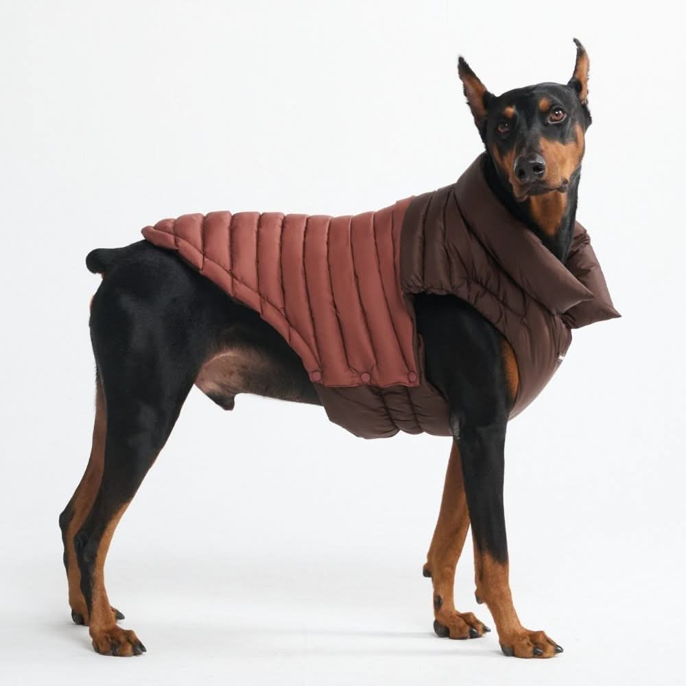 Spark Paws - Premium Dog Clothing, Walk Gear, Shoes and More! – SPARK PAWS