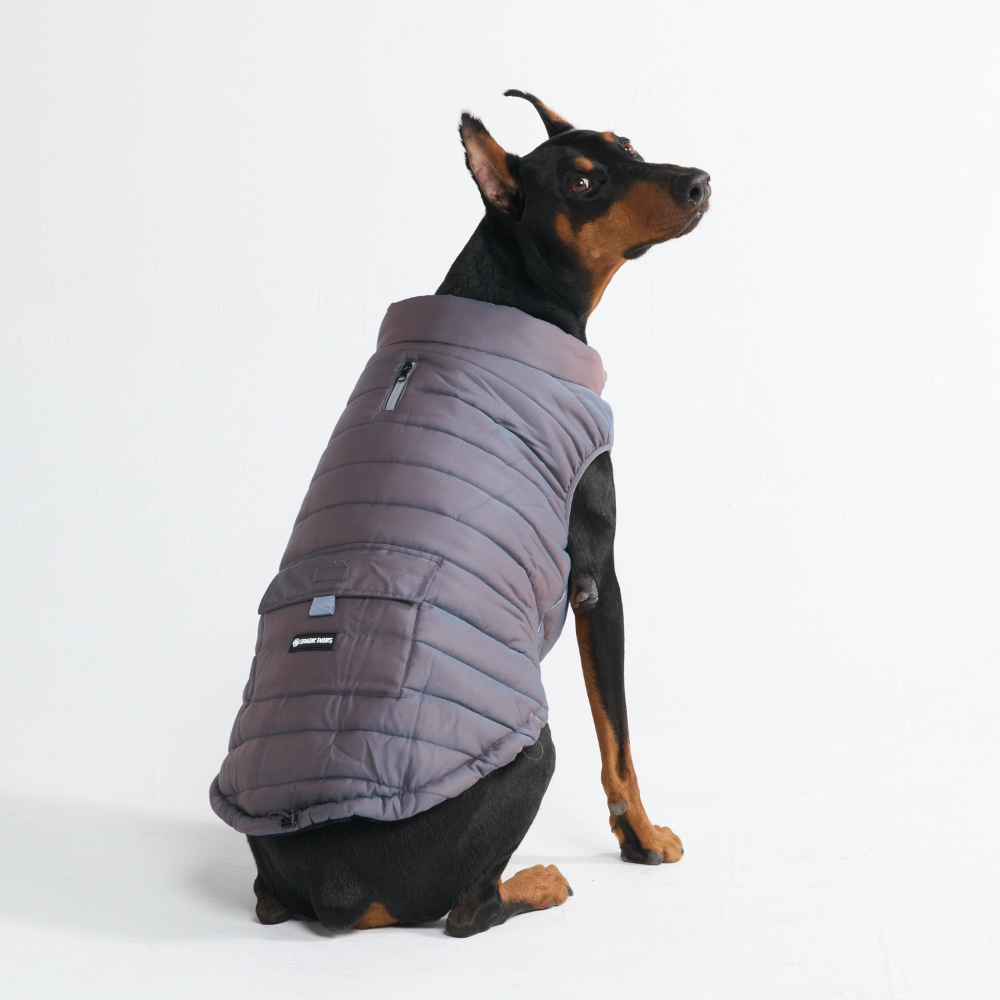 WarmShield Water-Resistant Jacket - Gunmetal Grey – SPARK PAWS
