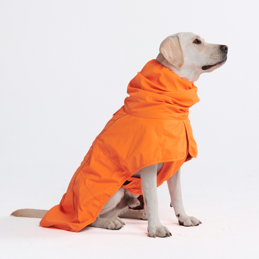 Breatheshield™ Dog Raincoat - Neon Orange – SPARK PAWS
