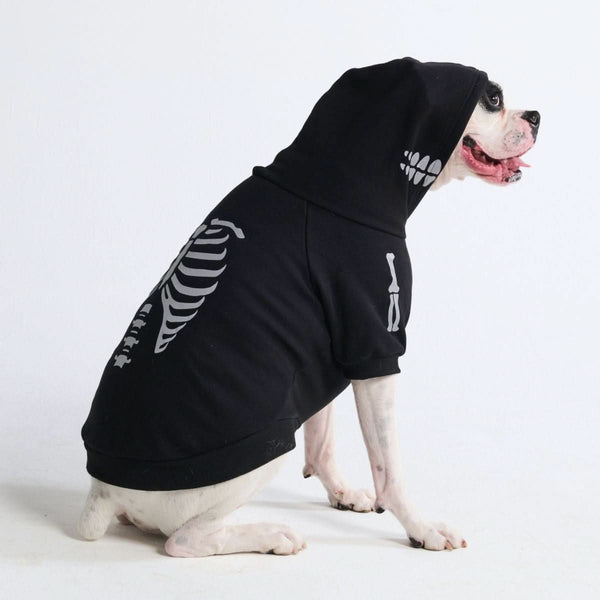Halloween Dog Hoodie - Reflective Skeleton – SPARK PAWS