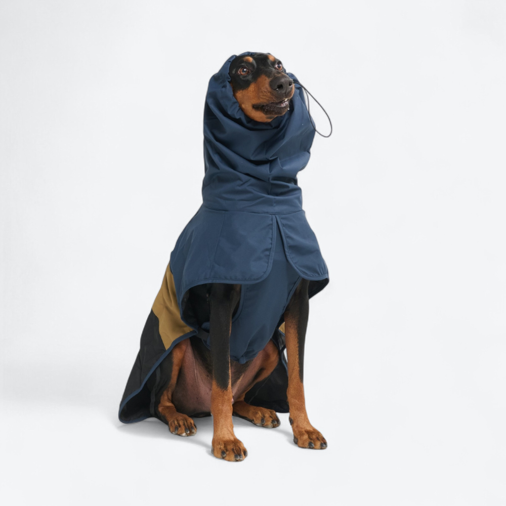 Breatheshield™ Dog Raincoat - Blue Gold Black – SPARK PAWS