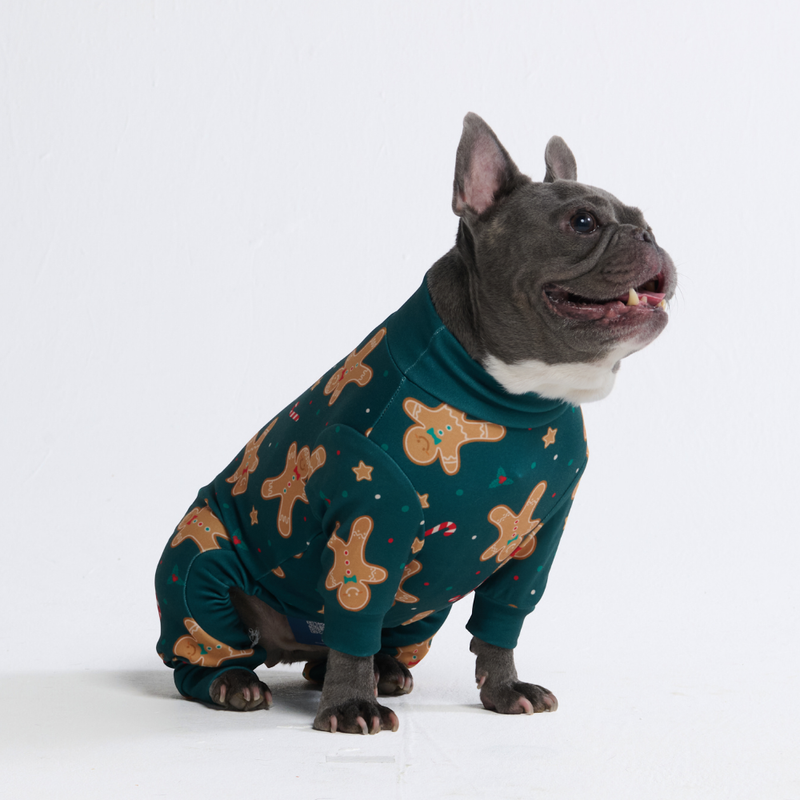Dog Christmas Pajamas – SPARK PAWS