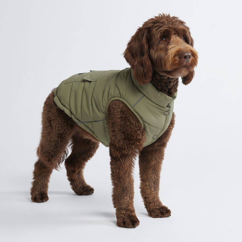 Olive Warmshield Jacket||size:2XL