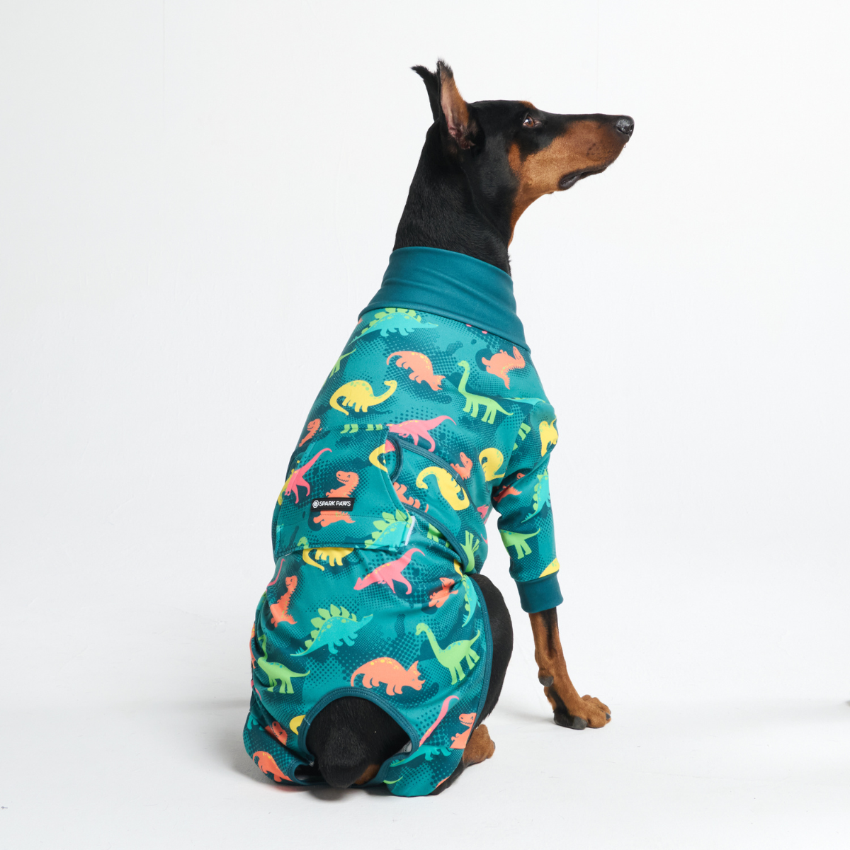 Dog Raptor Suit Dog Surgical Suit - Dinosaurs – SPARK PAWS
