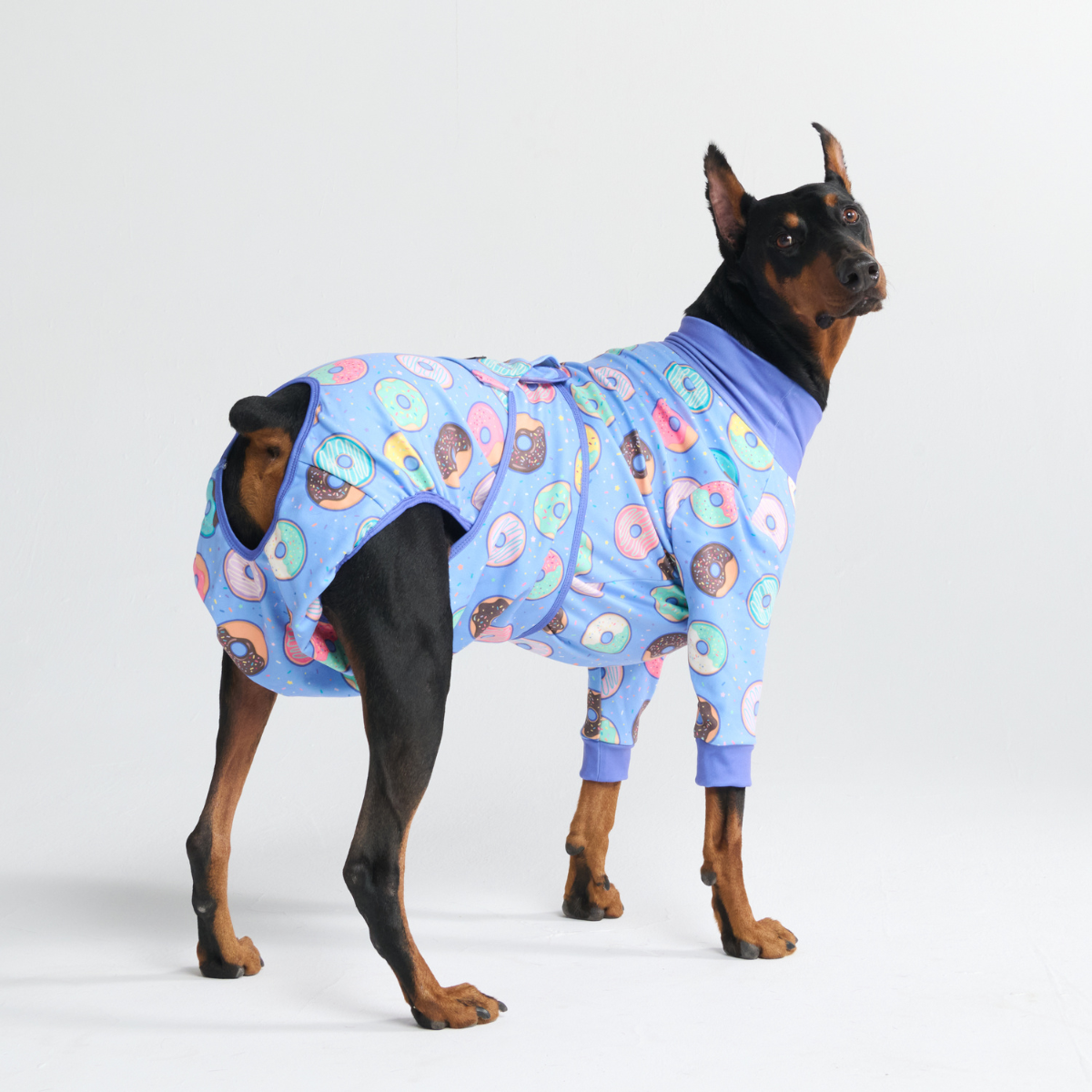 Dog Surgical Suit - Donuts – SPARK PAWS