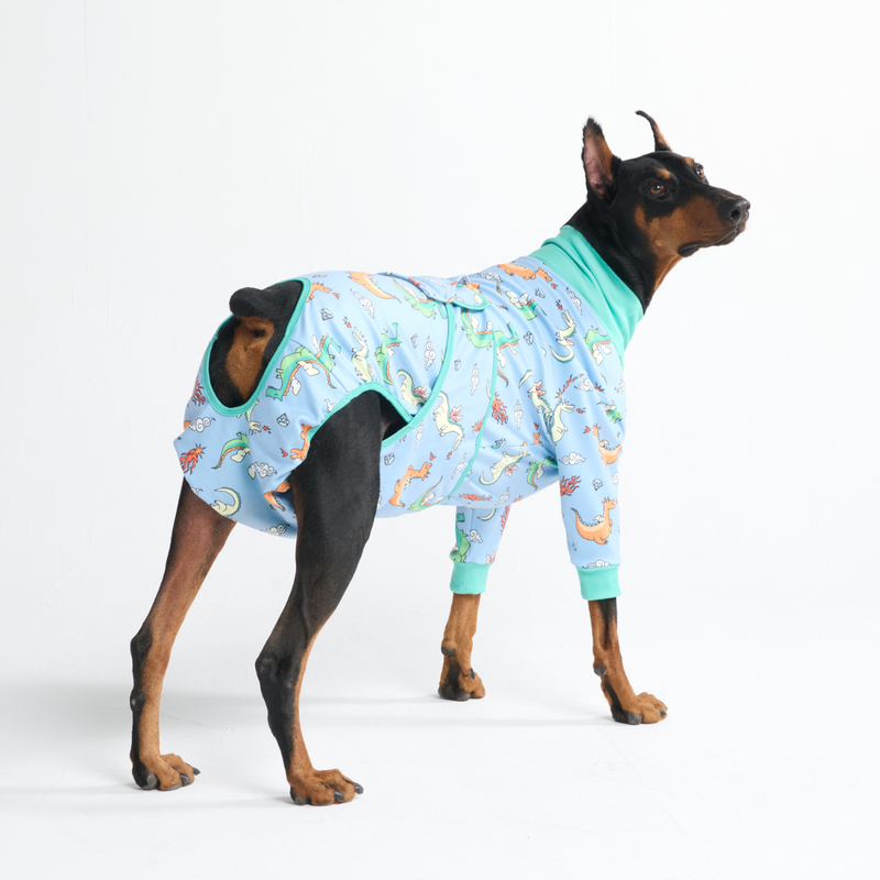 Dog Surgical Suit - Dragons – SPARK PAWS
