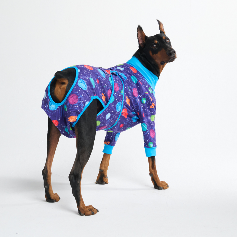 Dog Surgical Suit - Planets – SPARK PAWS