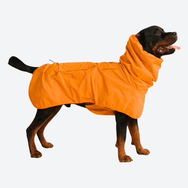 Breatheshield™ Dog Raincoat - Neon Orange – SPARK PAWS