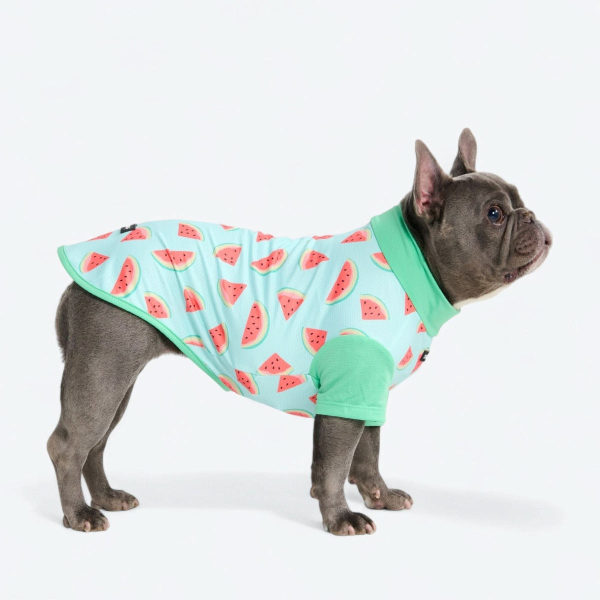 Sunblock Shirt - Watermelon – SPARK PAWS