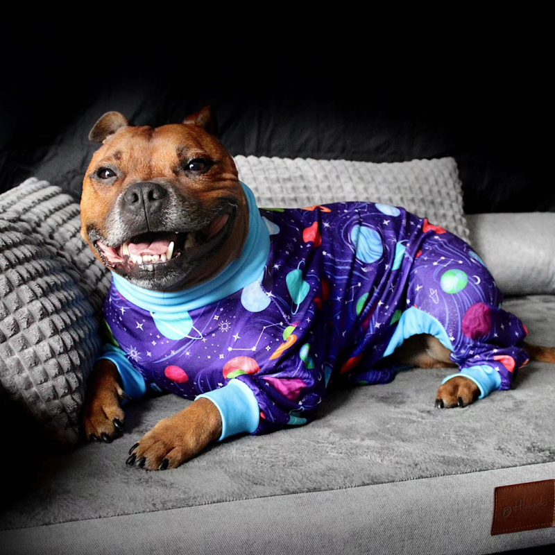 Dog Pajama Planets – SPARK PAWS