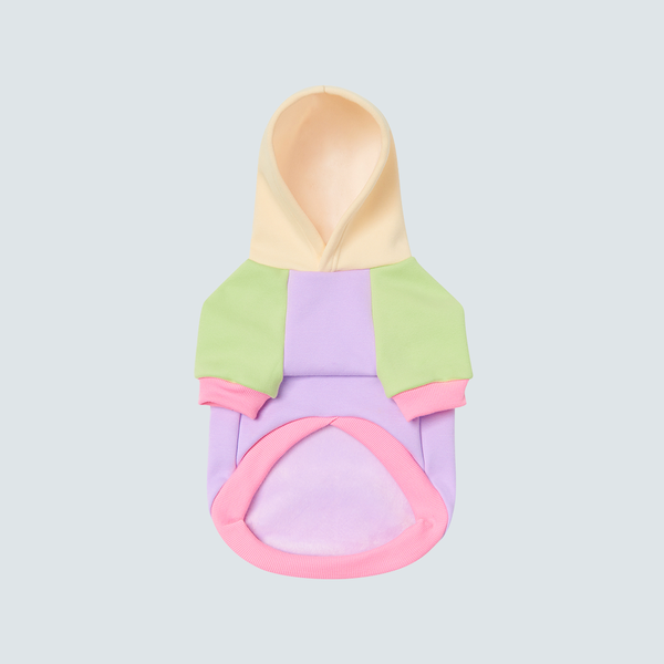 Teddy fresh top hoodie dog