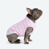 Stripe Shirt - Purple Blue