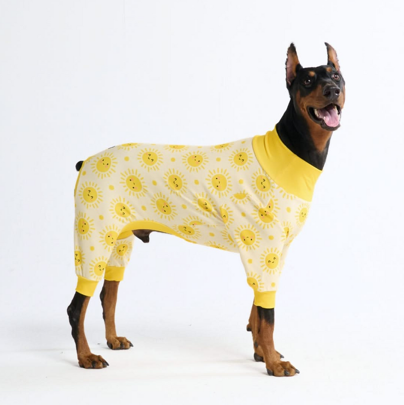 Dog Pajama Prints – SPARK PAWS