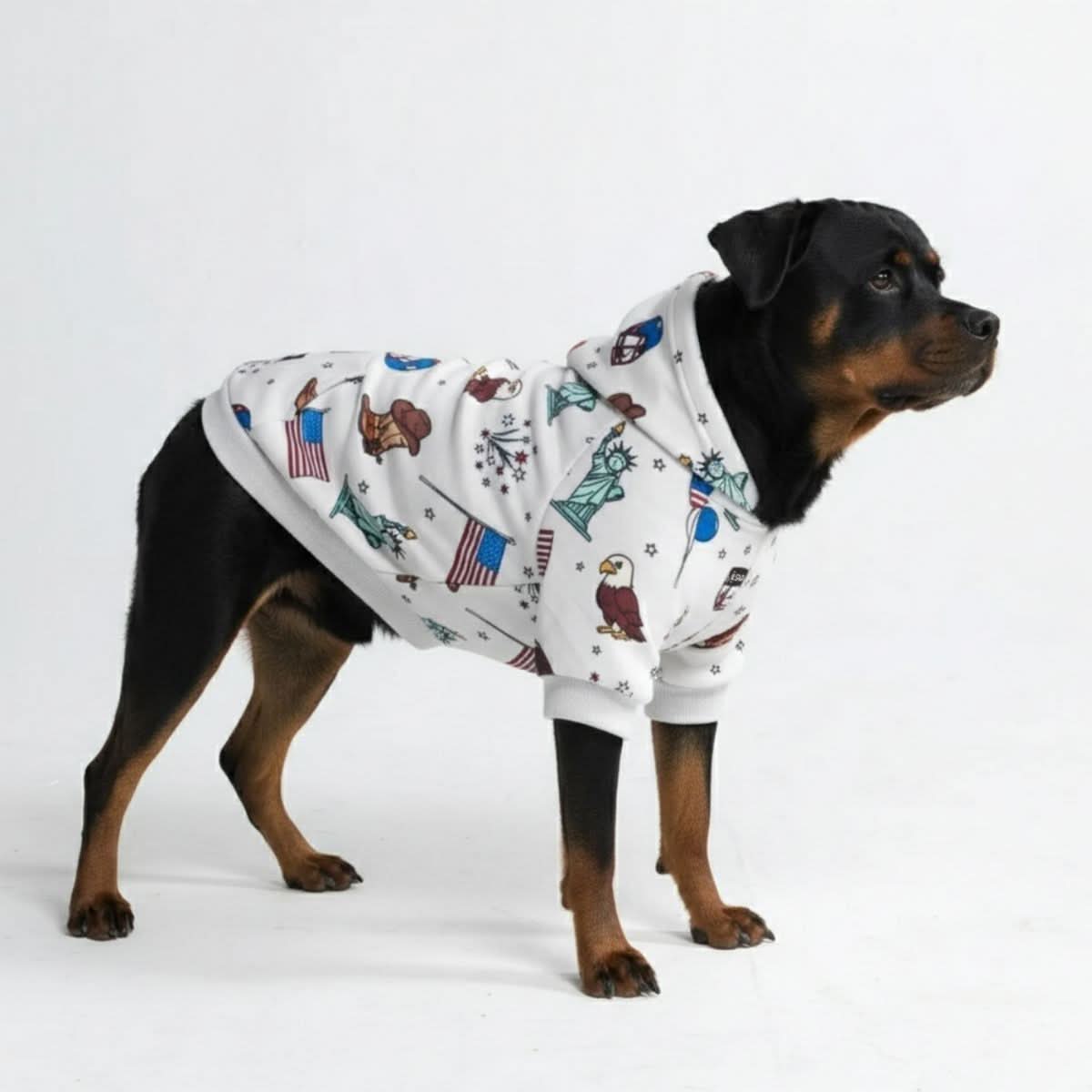 Matching Human and Dog Apparel  SPARK PAWS
