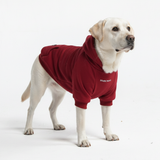 Essential Burgandy Hoodie||size:3XL