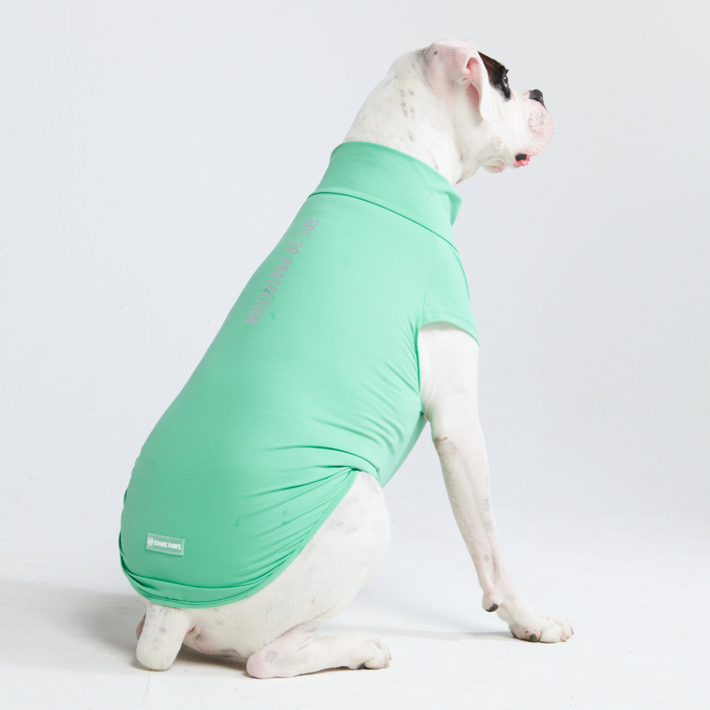 Sunblock Dog T-Shirts – SPARK PAWS