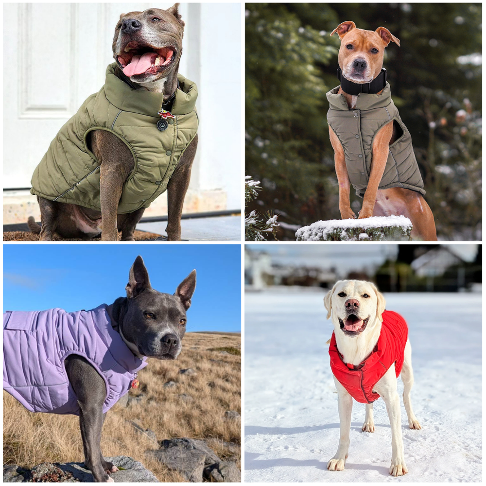 WarmShield Water-Resistant Jacket - Tan – SPARK PAWS