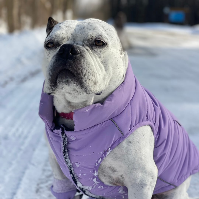 Lilac Warmshield Jacket||size:S,M,L,XL,2XL,3XL,4XL,5XL
