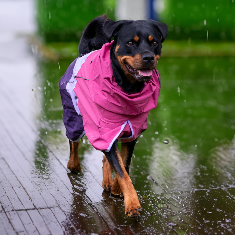 Breatheshield™ Dog Raincoat - Pink Lilac Purple – SPARK PAWS