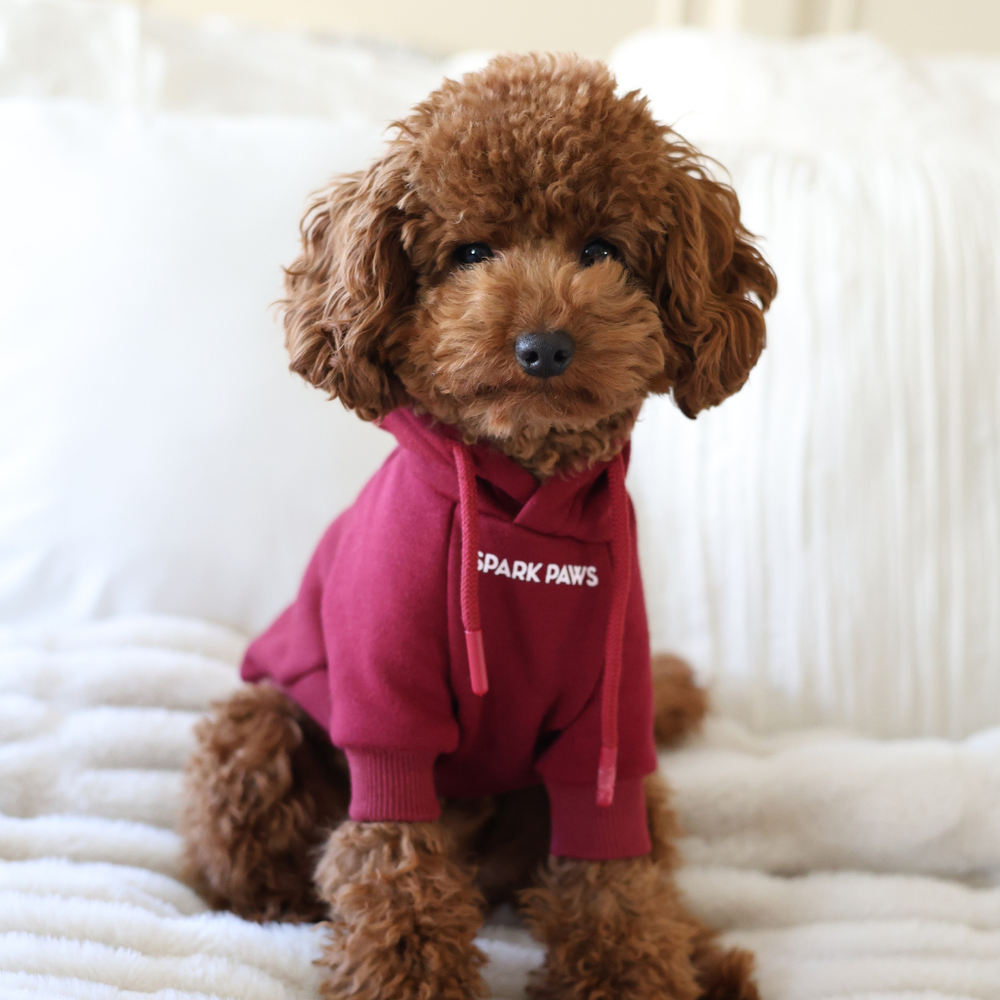 Essential Dog Hoodie - Burgundy – SPARK PAWS