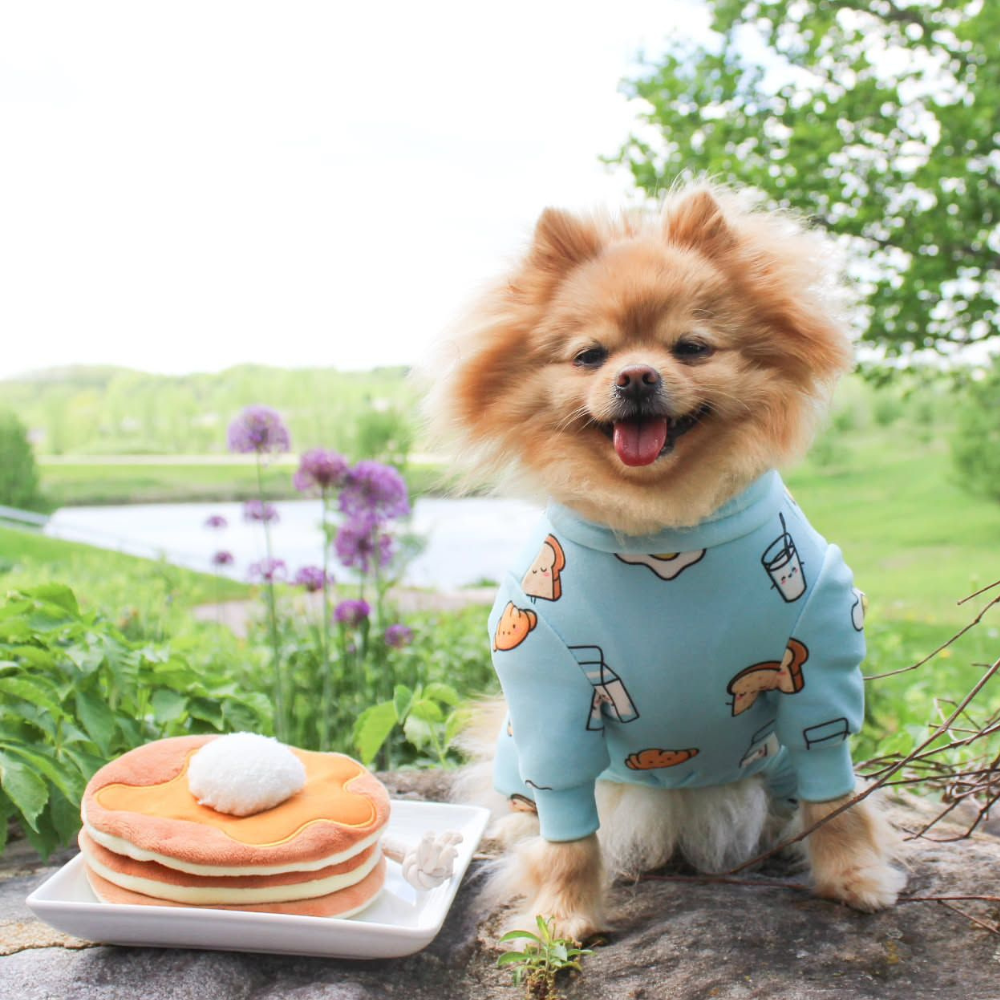 Dog Pajama - Breakfast Blue – SPARK PAWS