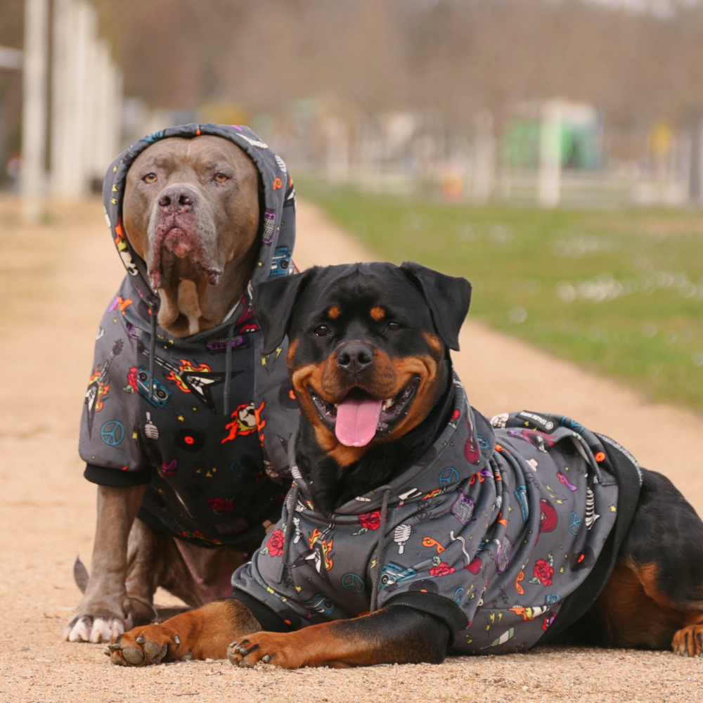 Rock and Roll Dog Hoodie – SPARK PAWS