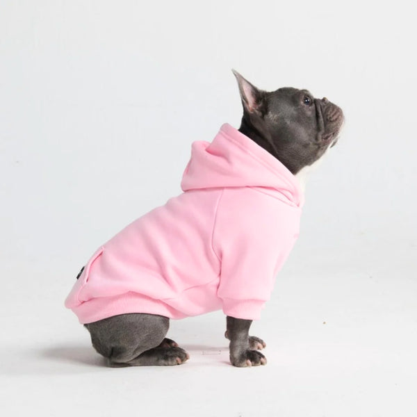 Wholesale Puppy Pet Play Outfits Luxury Cat Clothes Funny Dog Coats - China  Pet Clothes and Pet Supplies price