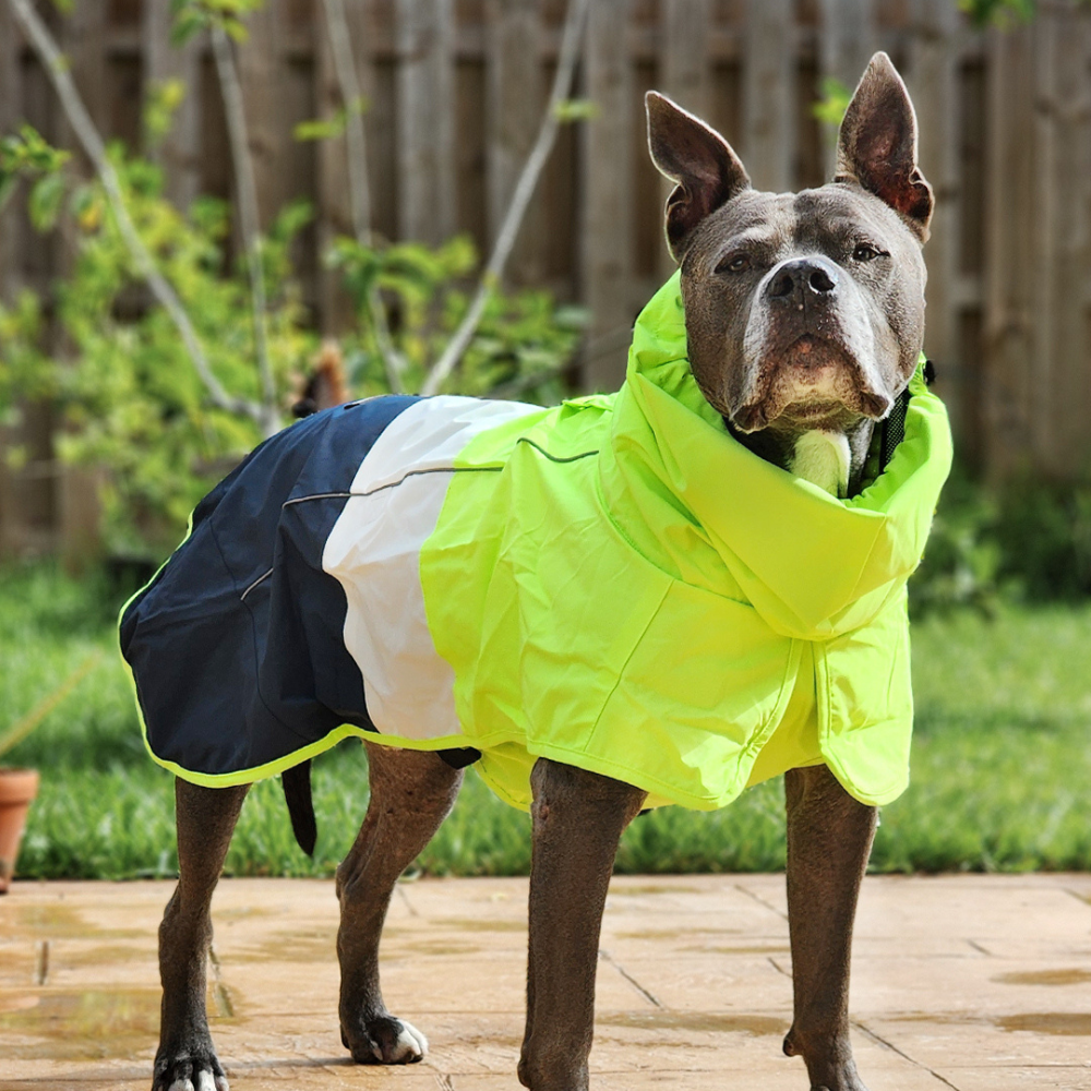 Spark Paws | Dog Raincoat