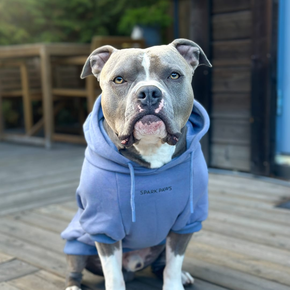Essential Dog Hoodie - Slate Blue – SPARK PAWS