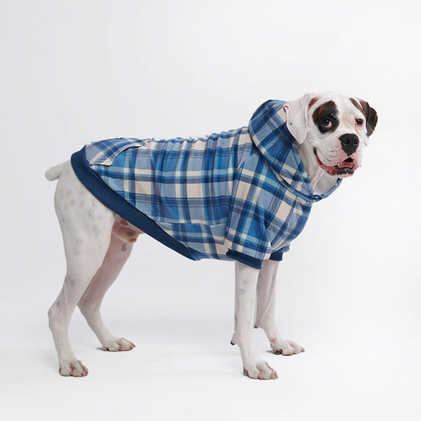 Blue Plaid Dog Hoodie