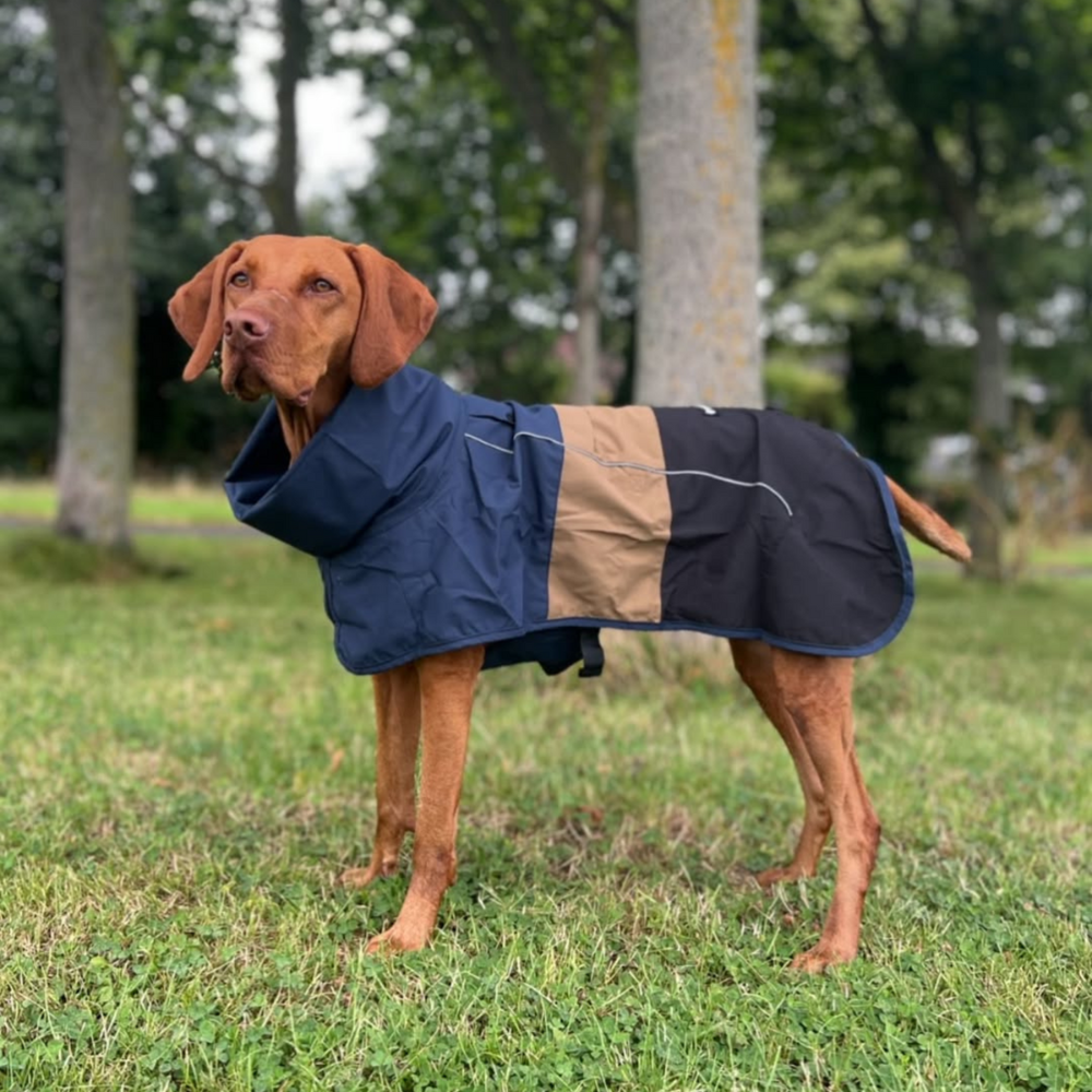 Breatheshield™ Dog Raincoat - Blue Gold Black – SPARK PAWS