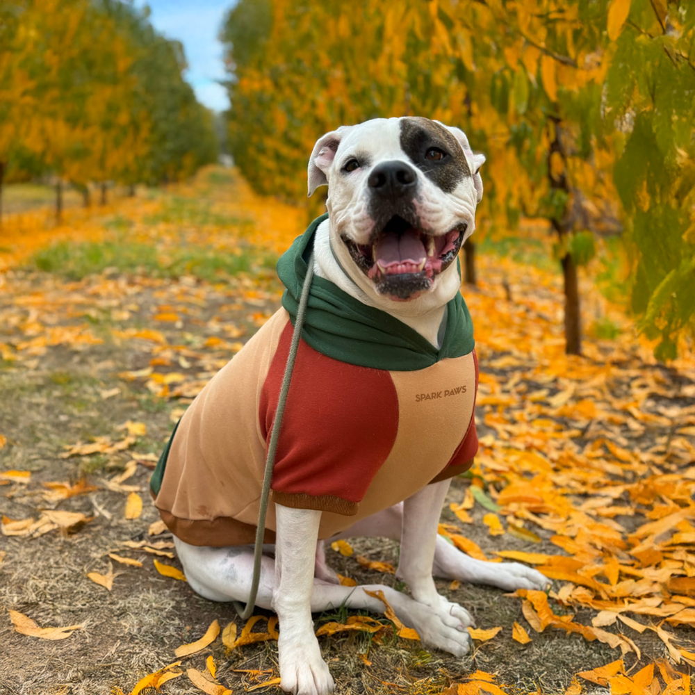Ranger Dog Hoodie – SPARK PAWS