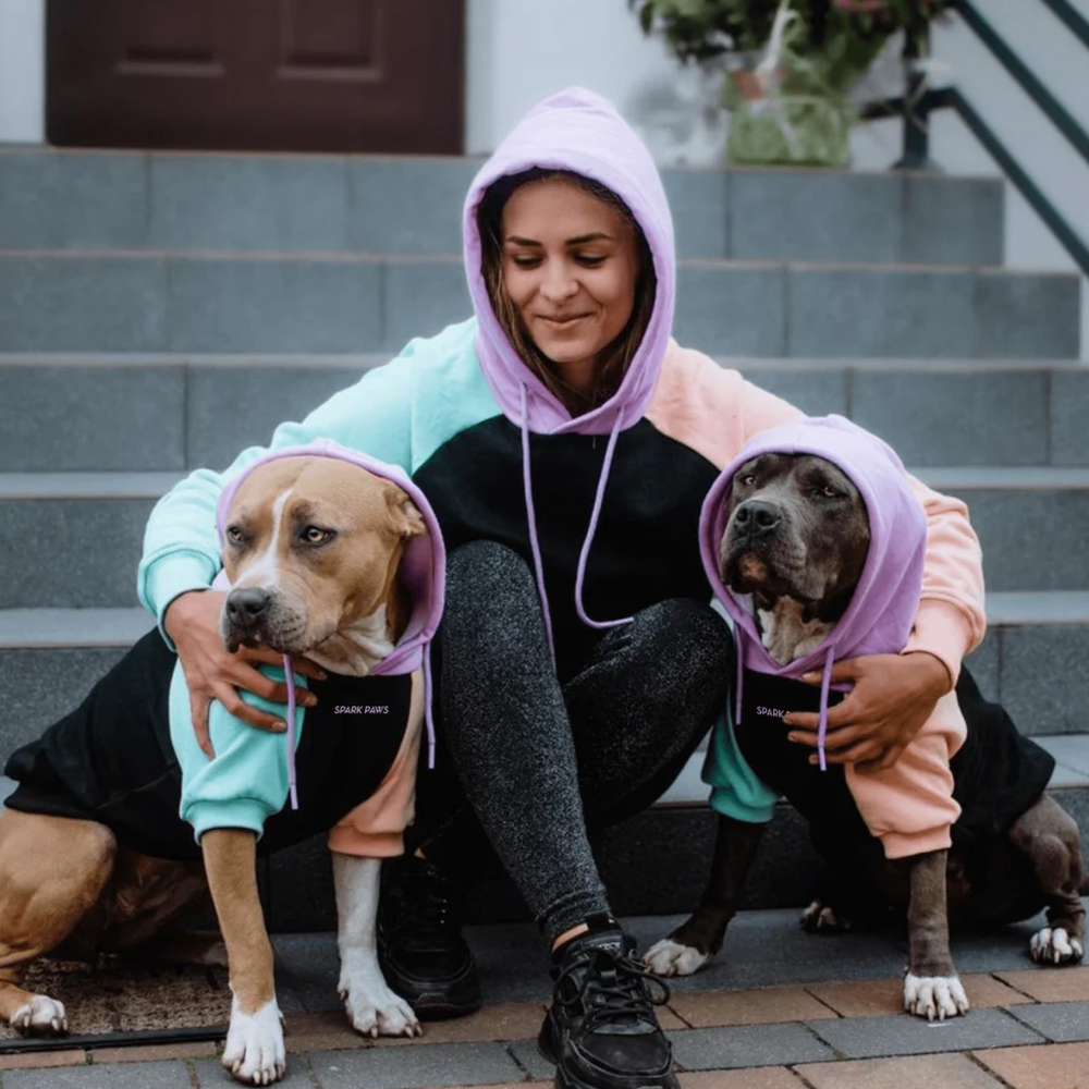 Cyber Punk Dog Hoodie – SPARK PAWS