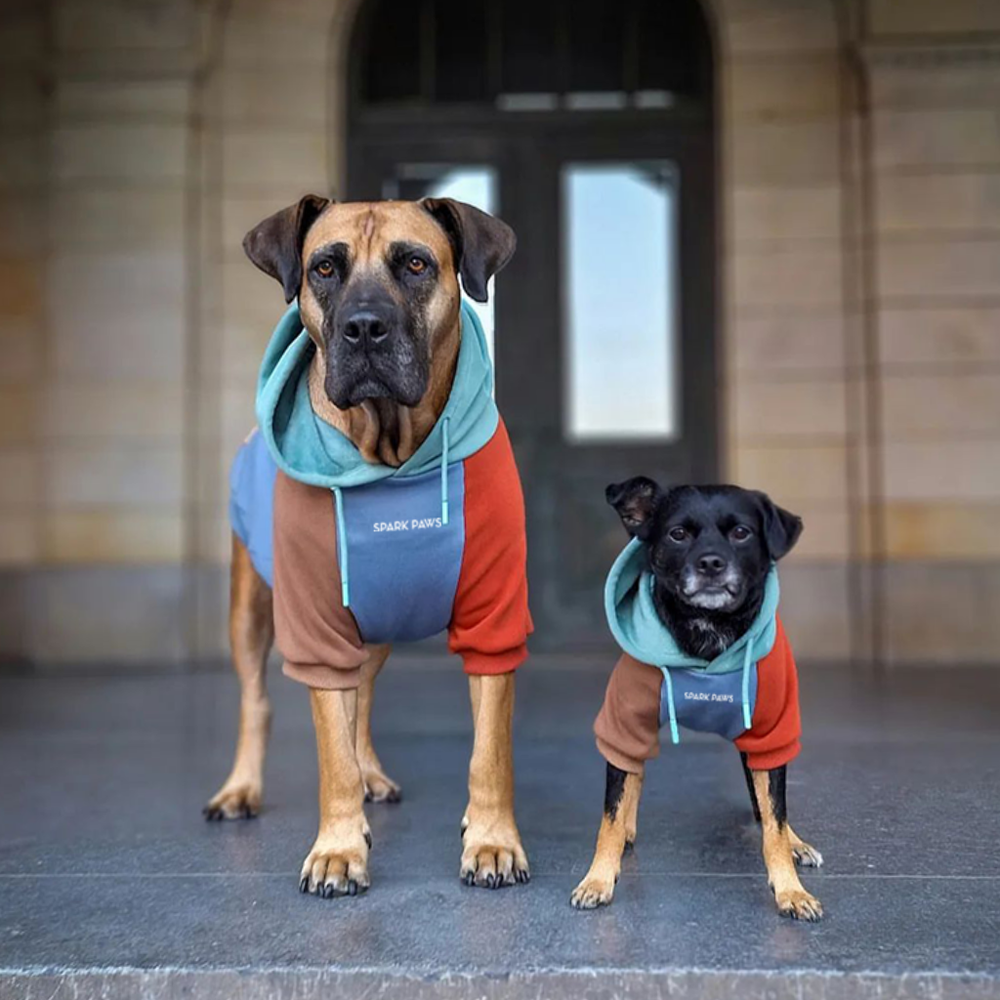Alpine Dog Hoodie – SPARK PAWS