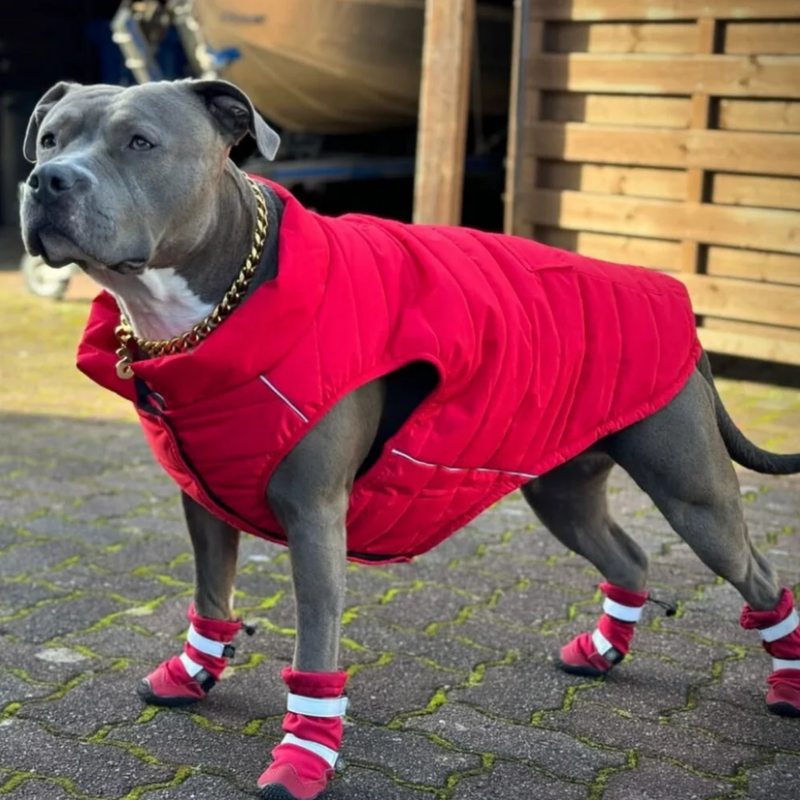 Red Warmshield Jacket||size:S,M,L,XL,2XL,3XL,4XL,5XL