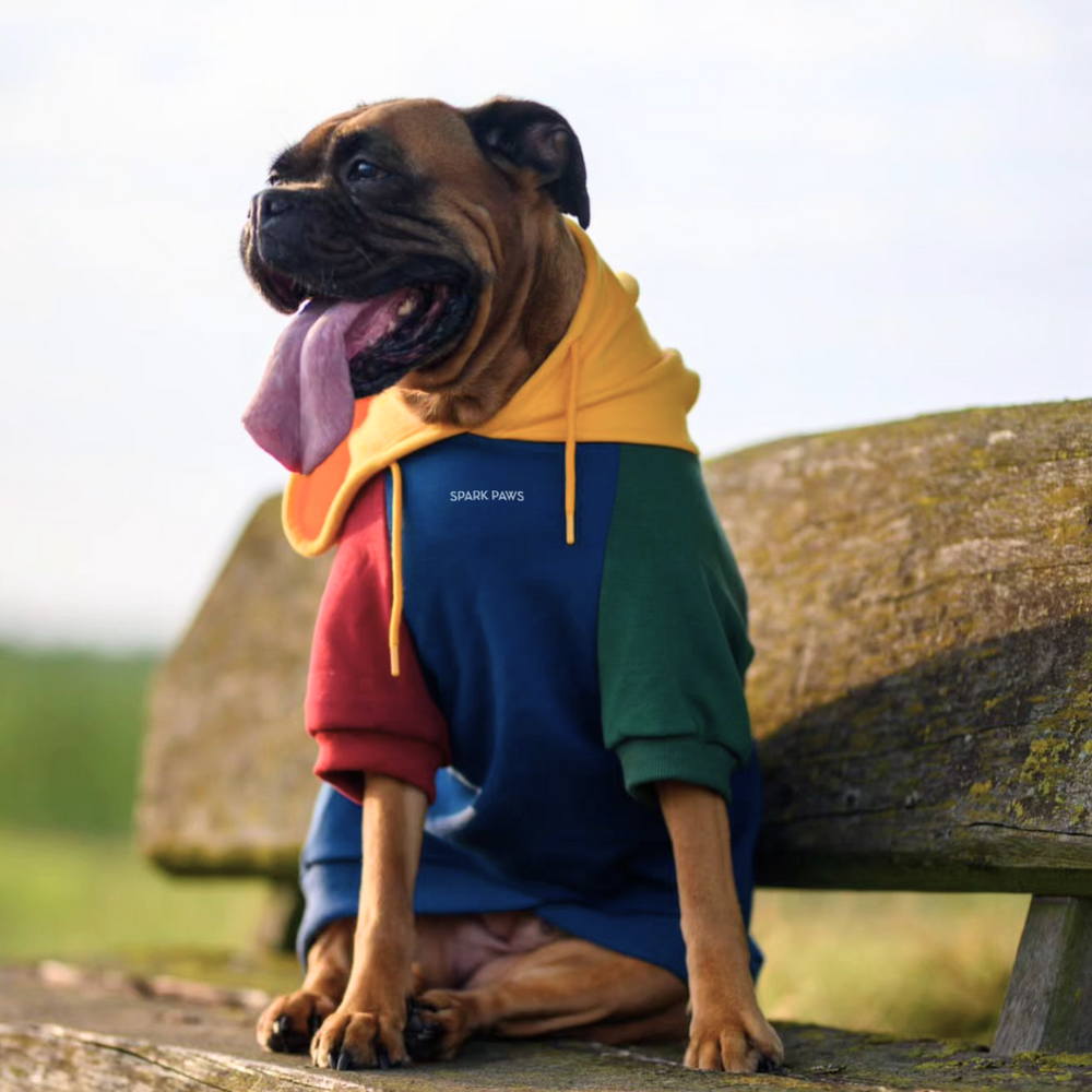 Primary Color Block Dog Hoodie – SPARK PAWS
