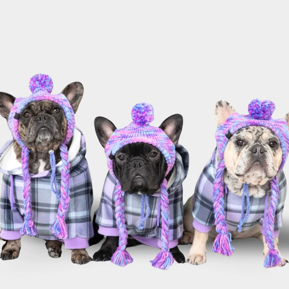 Purple Plaid Dog Hoodie – SPARK PAWS