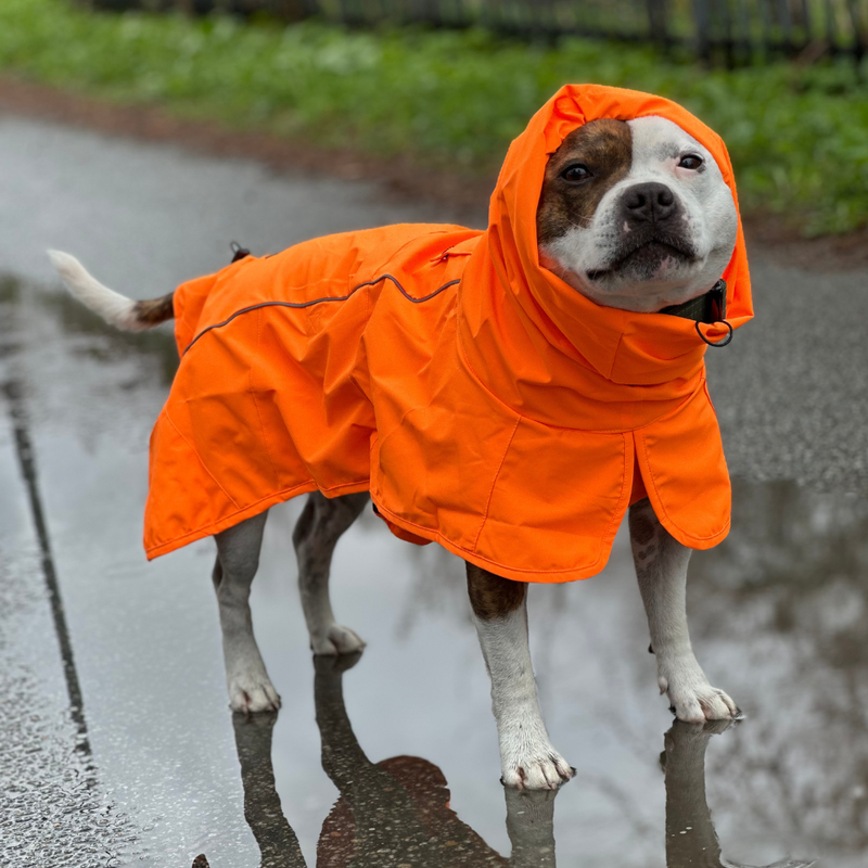 Breatheshield™ Dog Raincoat - Neon Orange – SPARK PAWS