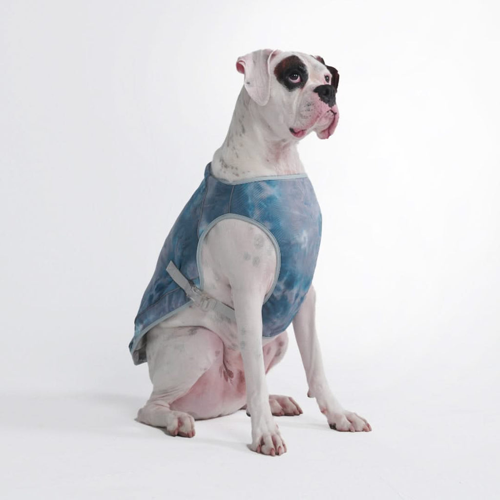 Techkewl cooling vest clearance dog