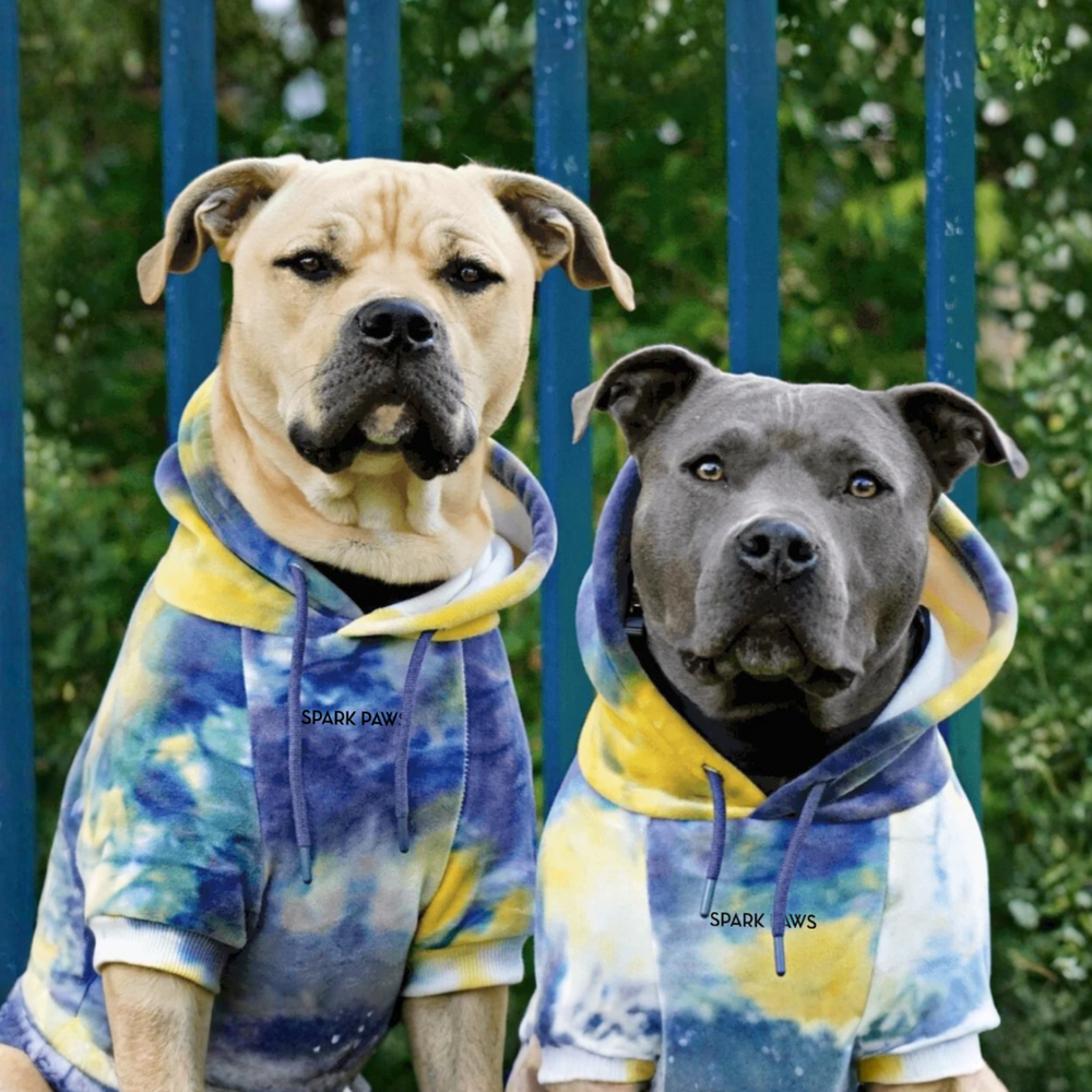 Velvet Dog Hoodie - Nova – SPARK PAWS