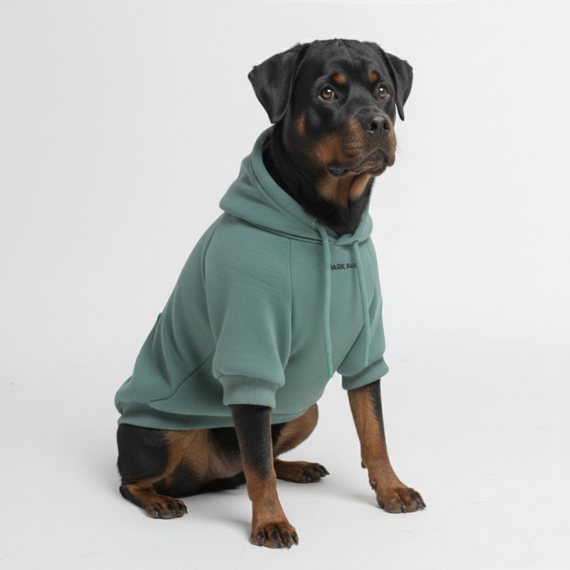 Essential Teal Hoodie||size:4XL,5XL