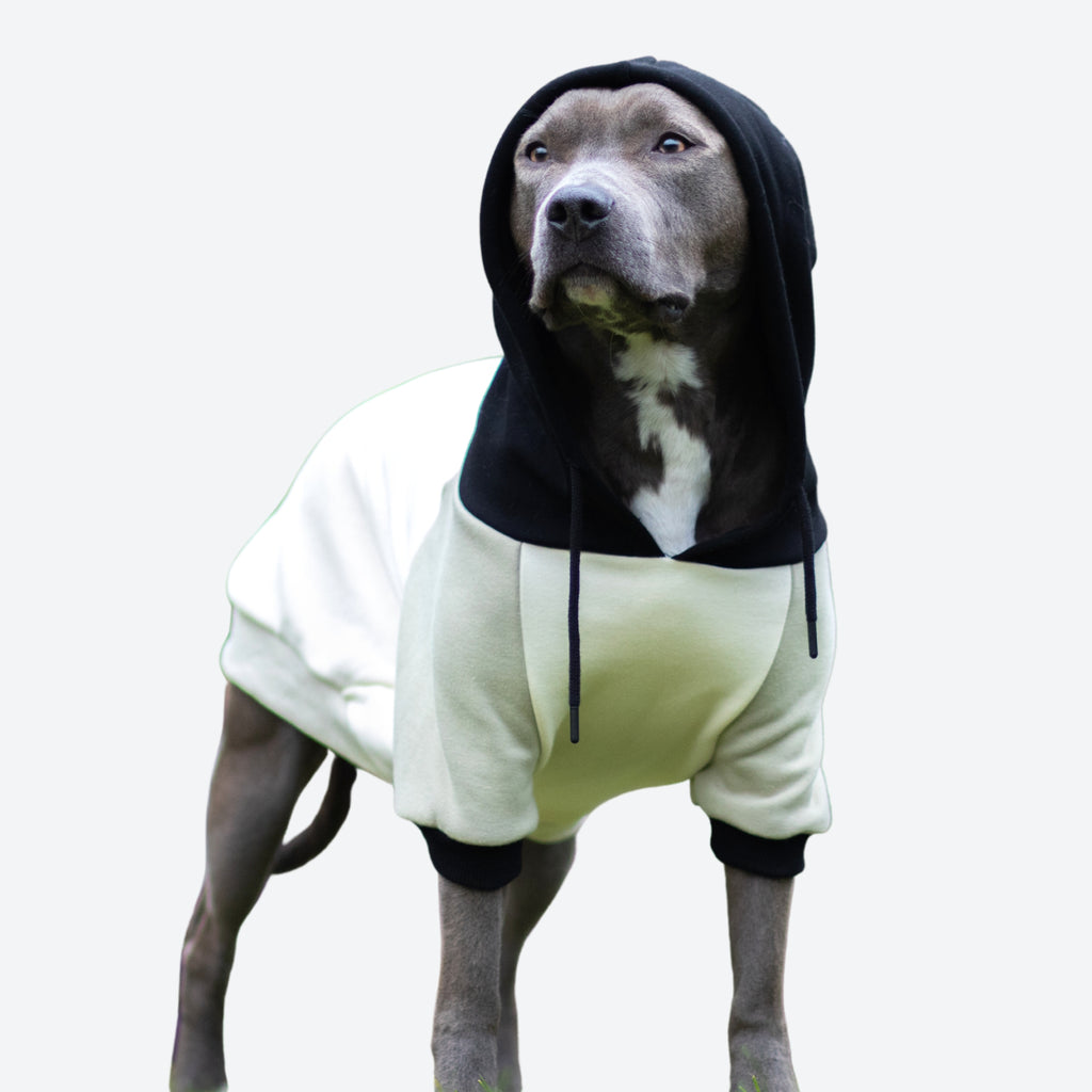 Paws Crop Hoodie — Puppy Couture
