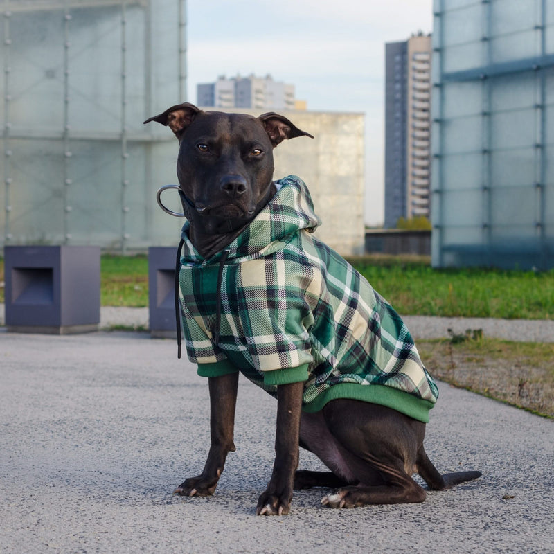 Green Plaid Human Hoodie – SPARK PAWS