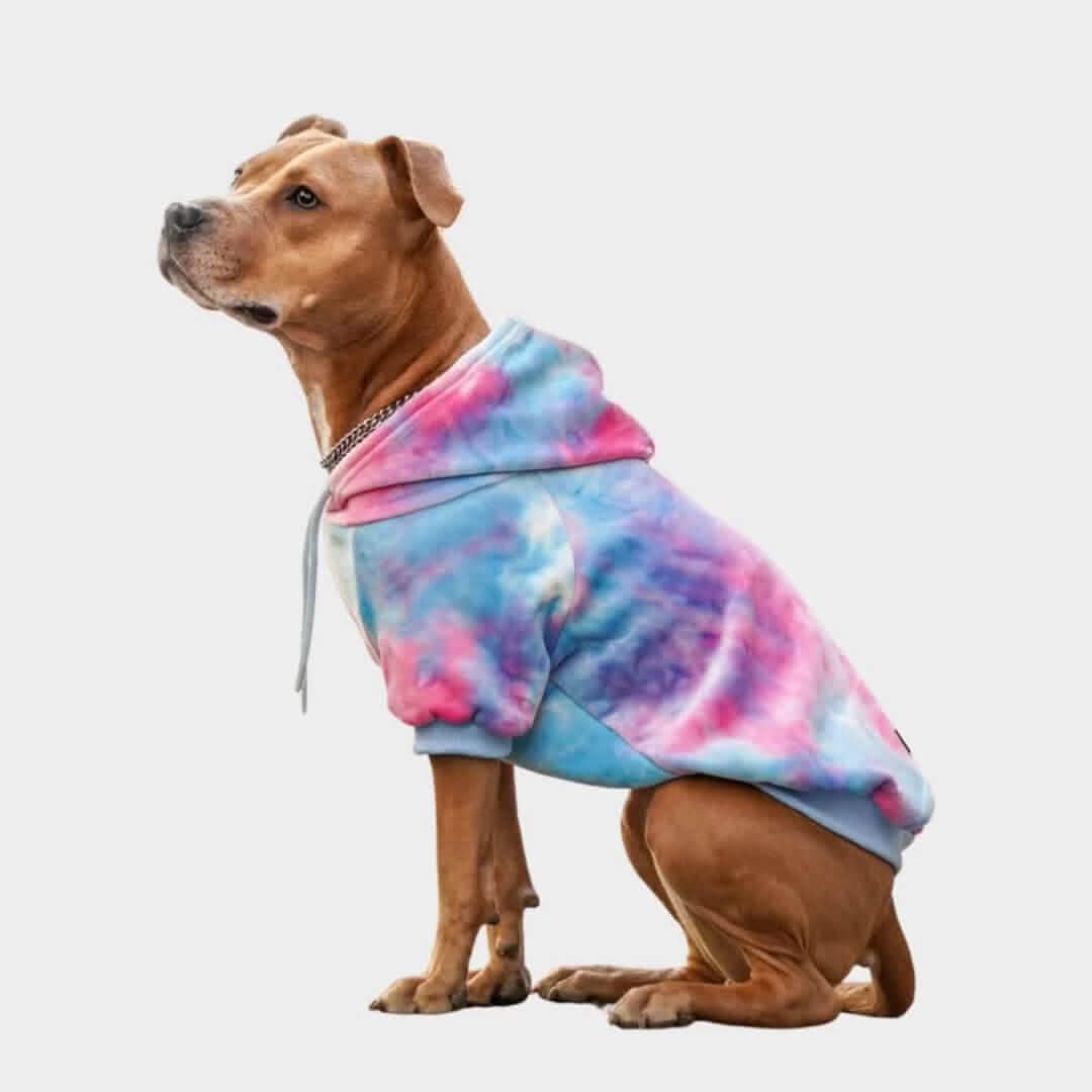 Green Skydye Dog Hoodie