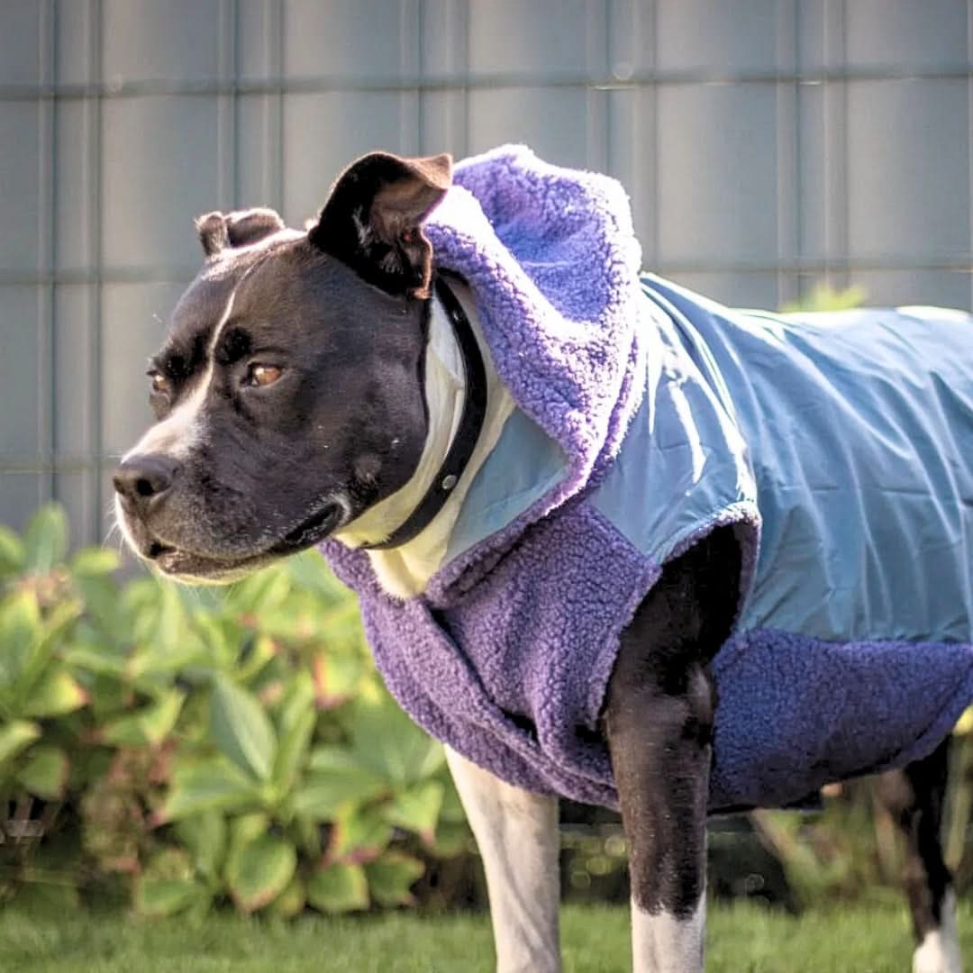Glow in the Dark Stars Furry Dog Jacket With Sherpa Lining