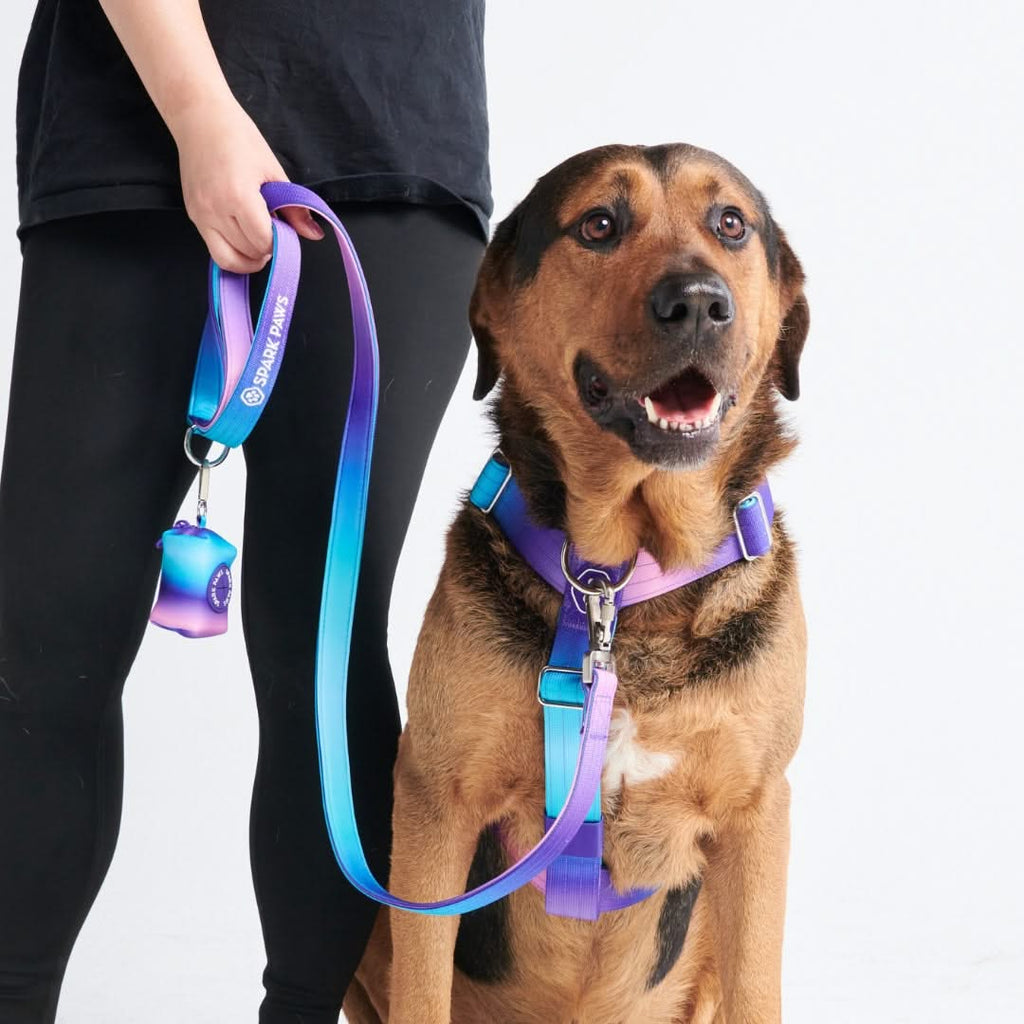 Comfy control dog harness shop