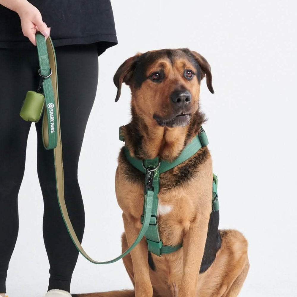 Comfort Control No-Pull Dog Harness Set - Army Green – SPARK PAWS