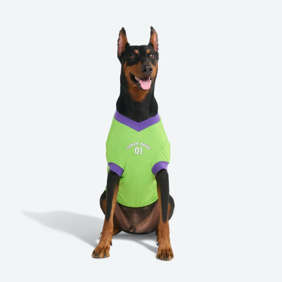 Football Mesh Jersey - Lime Green – SPARK PAWS
